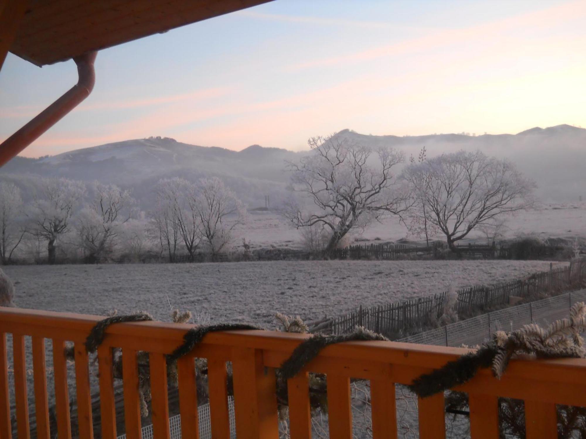 Pensiunea Poezii Alese Valea Drăganului Exterior foto